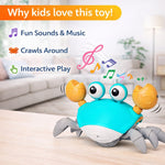 Musical Crawling Crab Toy for Kids with Lights & Sound | Dancing Baby Toy with Music | Interactive Toddler Toy | Educational & Fun Gift for Boys & Girls