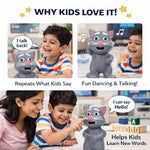 DHOOTHA™ Talking Cat Toy for Kids | Repeat Voice Interactive Plush Animal | Musical Mimicry Soft Toy with Sound | Birthday Gift for Boys & Girls